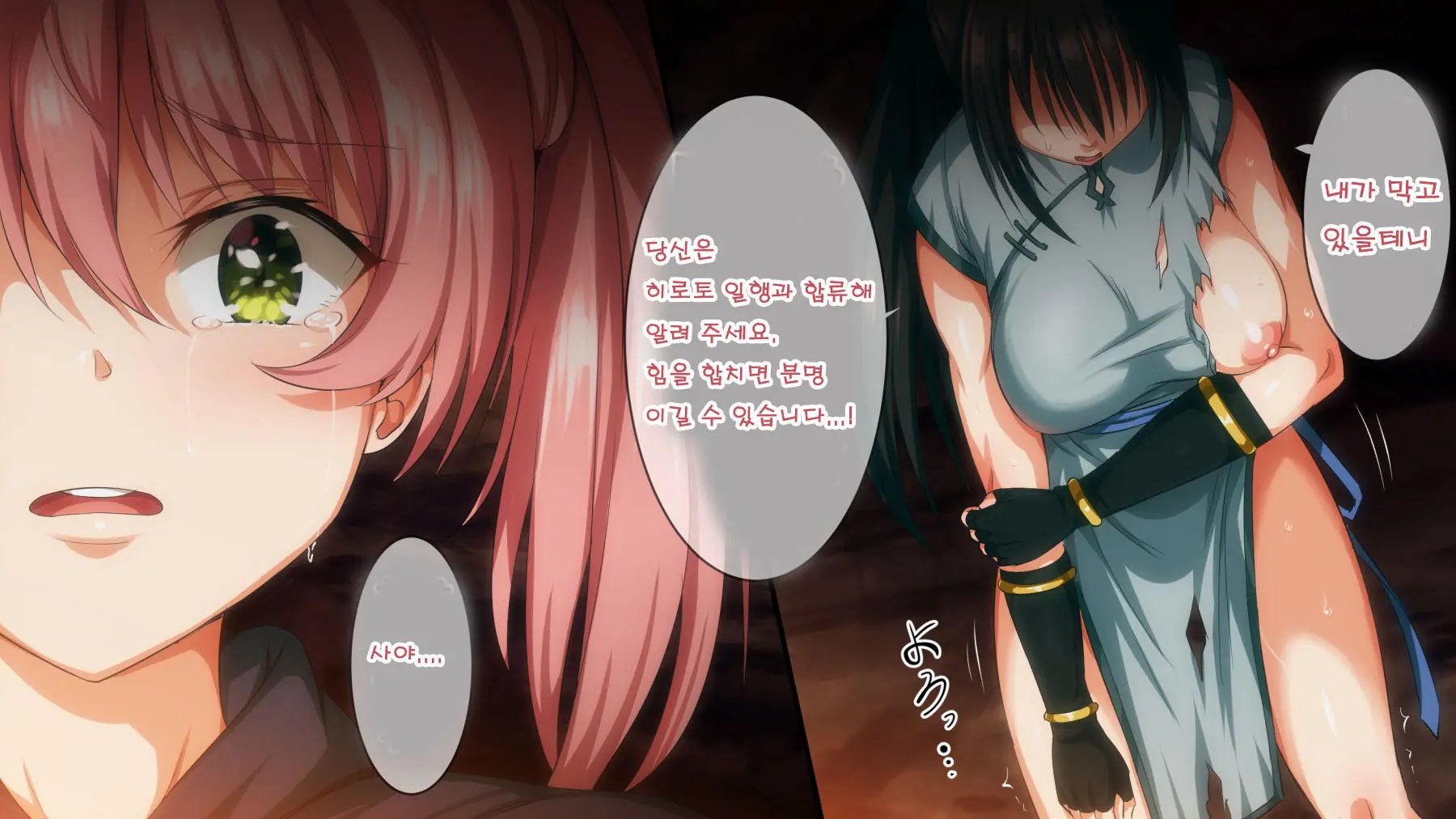Mamono No Nie 2 ~Ishu No Ko O Haranda Boukensha-Tachi~ | 마물의 희생양 2 ~괴물의 새끼를 임신한 모험가들~